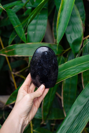 Black Tourmaline Freeform